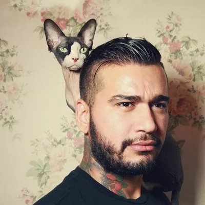 @teddy_ferrer profile image