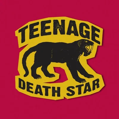 @teenage.death.star.official profile image