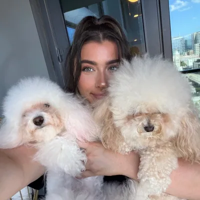@teenytinypoodles profile image