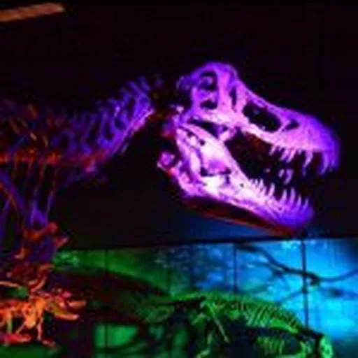 @tellusmuseum profile image