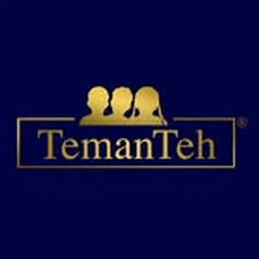 @temanteh profile image