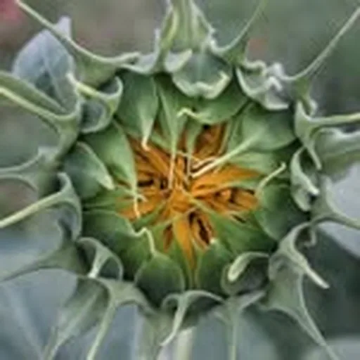 @tempgardendc profile image