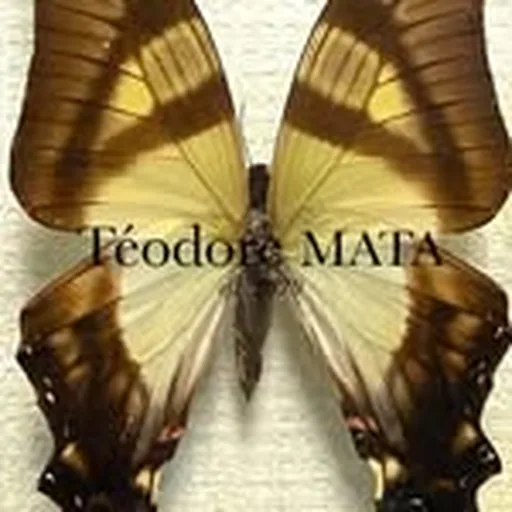 @teodoremata profile image