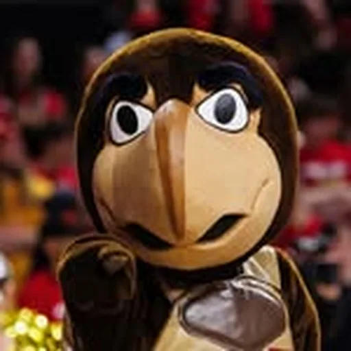 @testudo_umd profile image