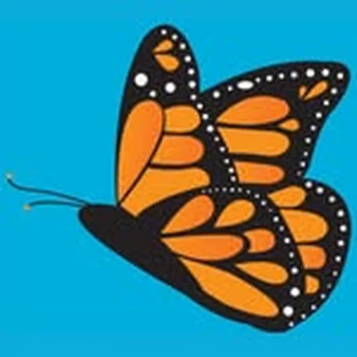 @texasdiscoverygardens profile image