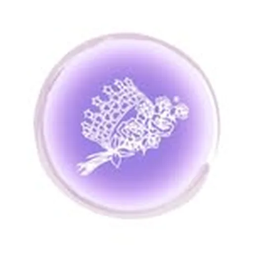 @texasintlpageant profile image