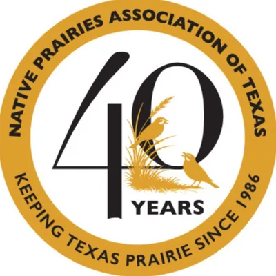 @texasprairie profile image