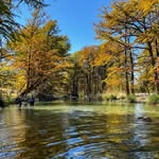 @texasriversandstreams profile image
