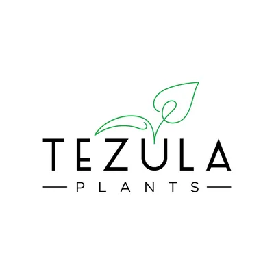 @tezulaplants profile image