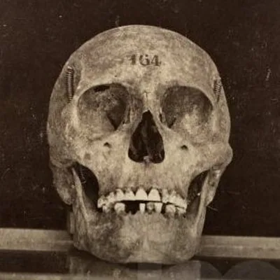 @thanatos.archive profile image