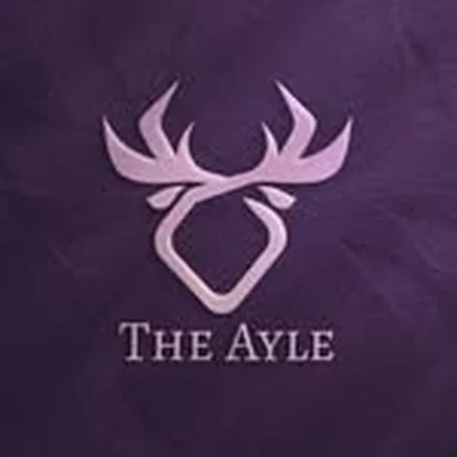 @the.ayle.agency profile image