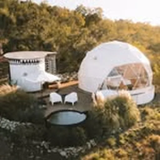 @the.disco.ranch profile image