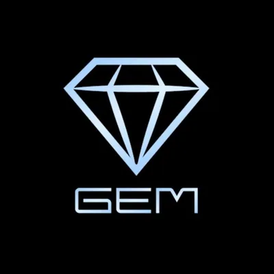 @the.gemcollection_ profile image