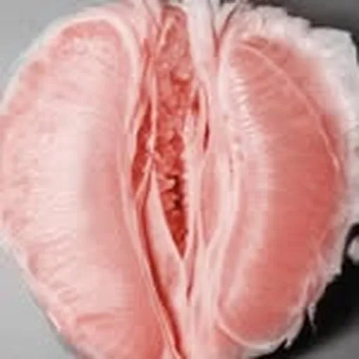 @the.pinklemonade profile image