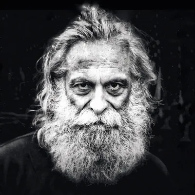 @the.portrait.festival profile image