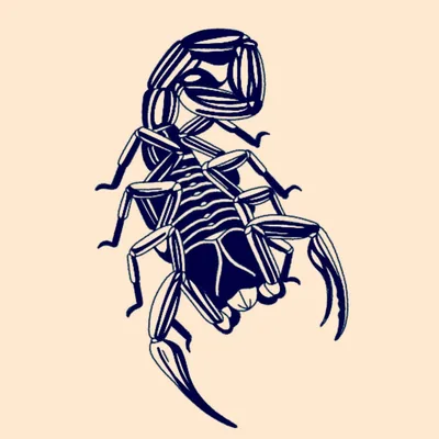 @the12thdoor profile image