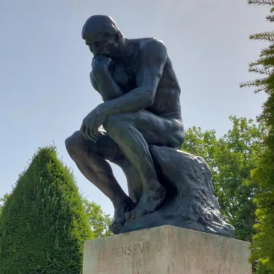 @the_amused_douche profile image