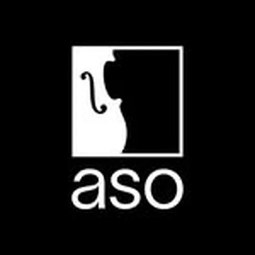 @the_aso profile image