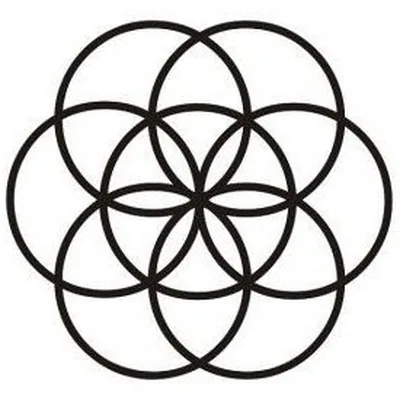 @the_atman_org profile image