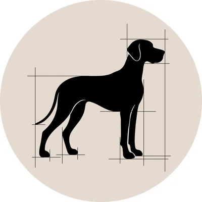 @the_barkitect profile image
