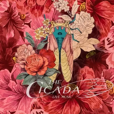 @the_cicada_ftw profile image
