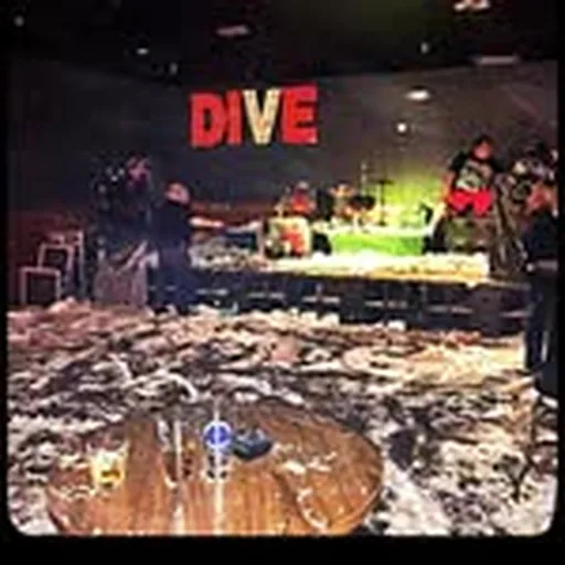 @the_dive_lv profile image