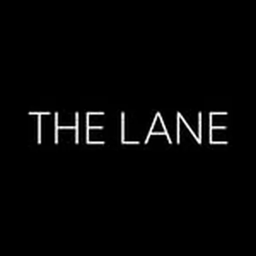 @the_lane profile image