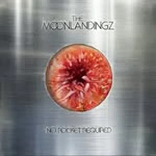 @the_moonlandingz profile image