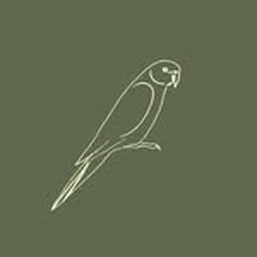 @the_parakeet profile image