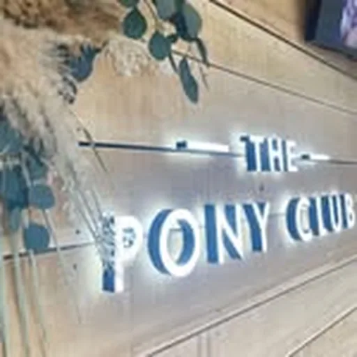 @the_ponyclub profile image