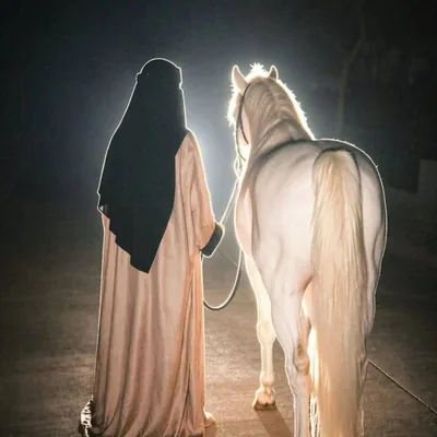 @the_queen_of_sayed_ profile image