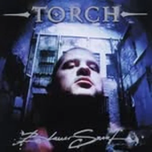 @the_real_torch profile image