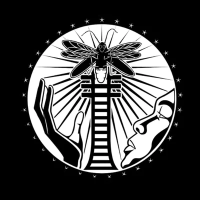 @the_rising_firefly profile image