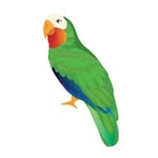 @theabacoclub profile image
