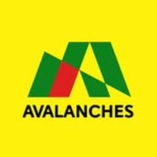 @theavalanches profile image