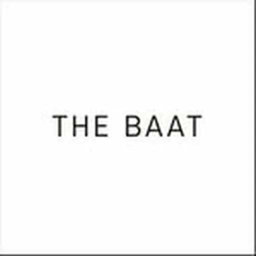@thebaat_ profile image