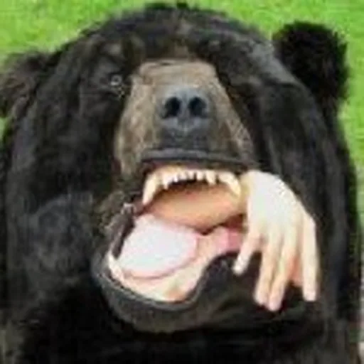 @thebaddeal profile image