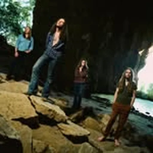 @thebandfeel profile image