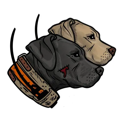 @thebestcamo profile image