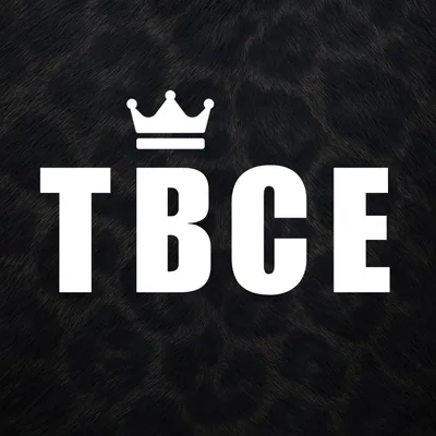 @thebigcatsempire profile image