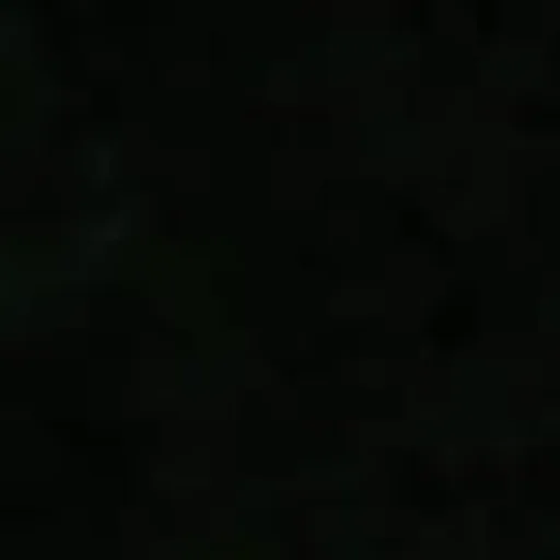 @thebillsaber profile image