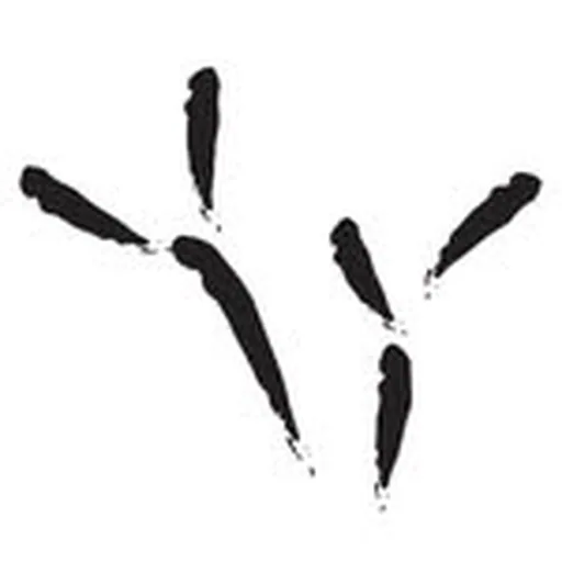 @theblackbirdstudio profile image