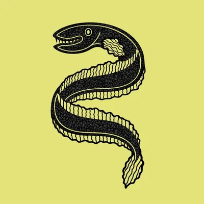 @theblackeel profile image