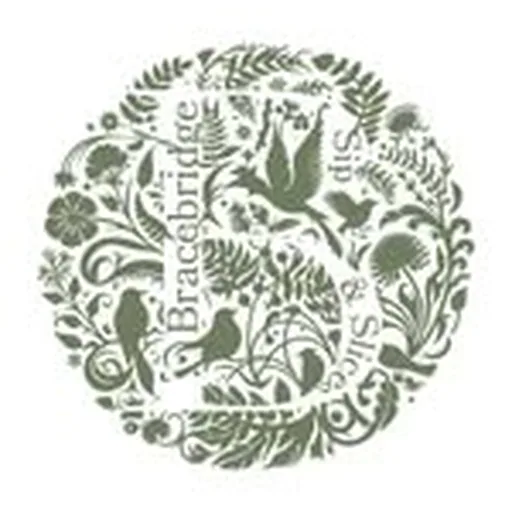 @thebracebridge profile image