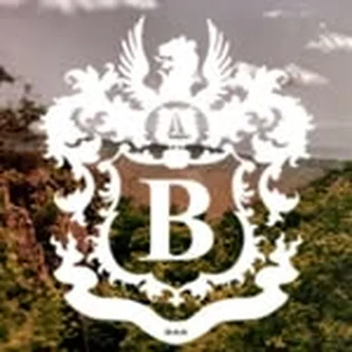 @theburlingtonbar profile image