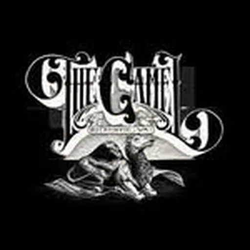 @thecamelrva profile image