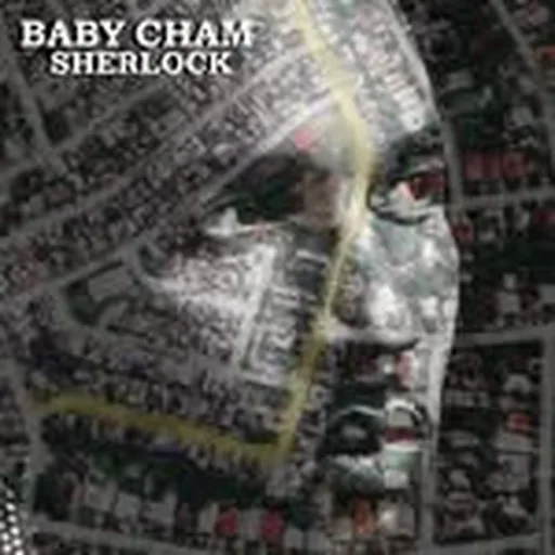 @thecham profile image