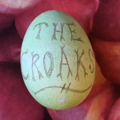 @thecroaks profile image