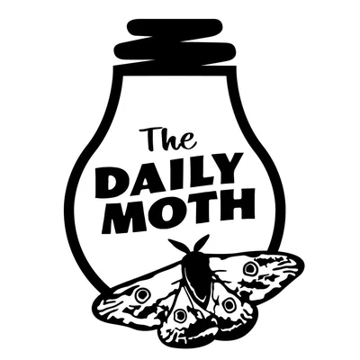 @thedailymoth profile image