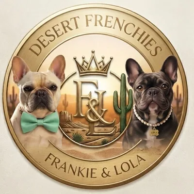 @thedesertfrenchies profile image